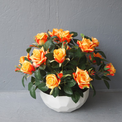 Rosier