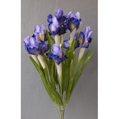 Bouquet de 10 iris