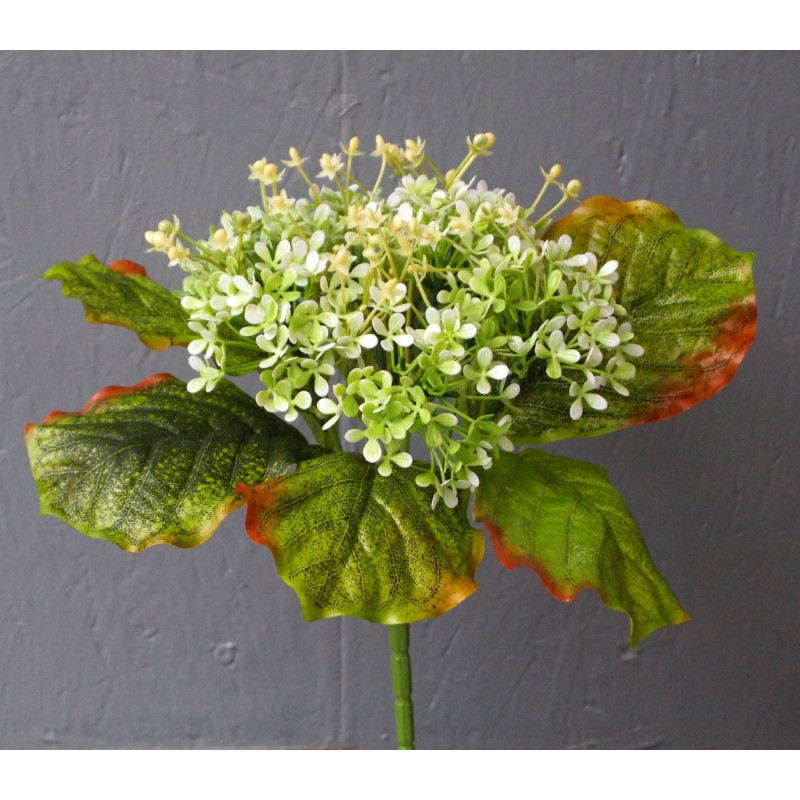 Petit bouquet 7 tiges gypsophile boule Petit bouquet 7 tiges gypsophile boule