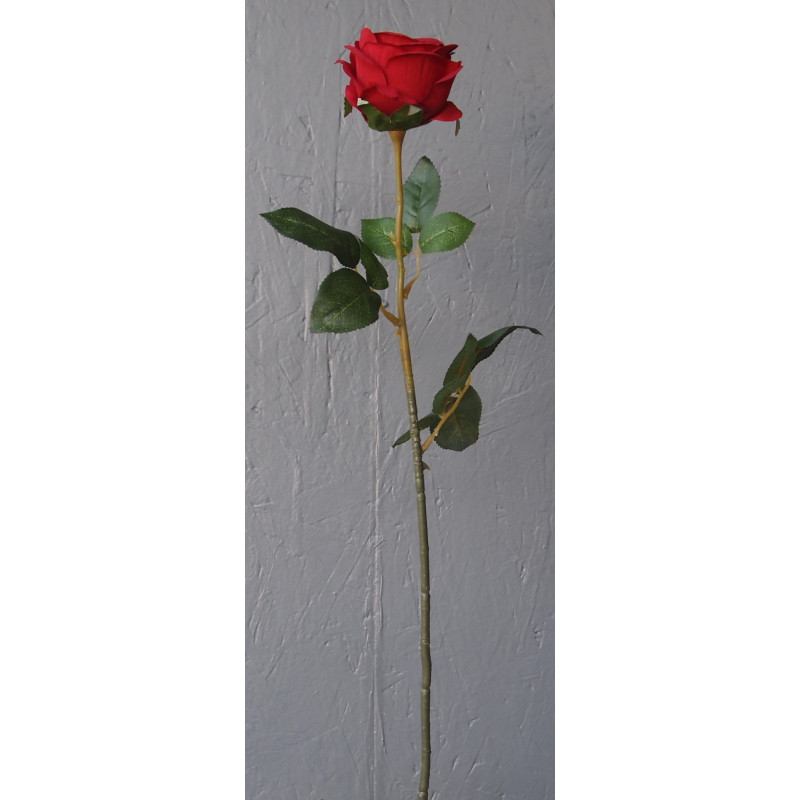 Rose ouverte Rose ouverte