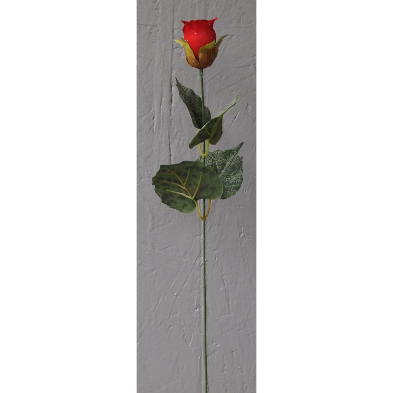 Rose bouton goutte d'eau Rose bouton goutte d'eau