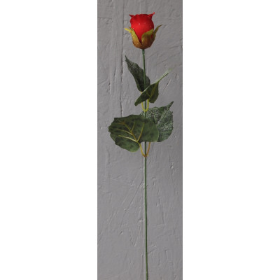 Rose bouton goutte d'eau