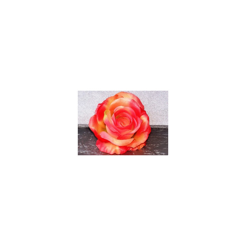 Grosse rose épanouie Grosse rose épanouie