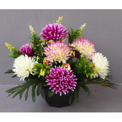 Coupe Dahlia