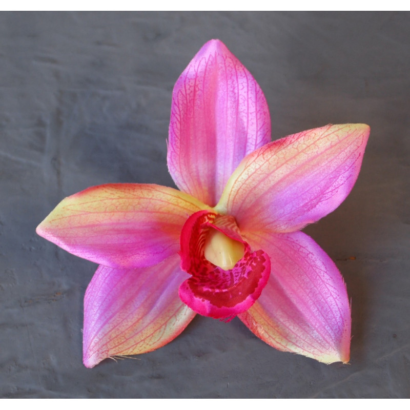 Fleuron cymbidium Fleuron cymbidium