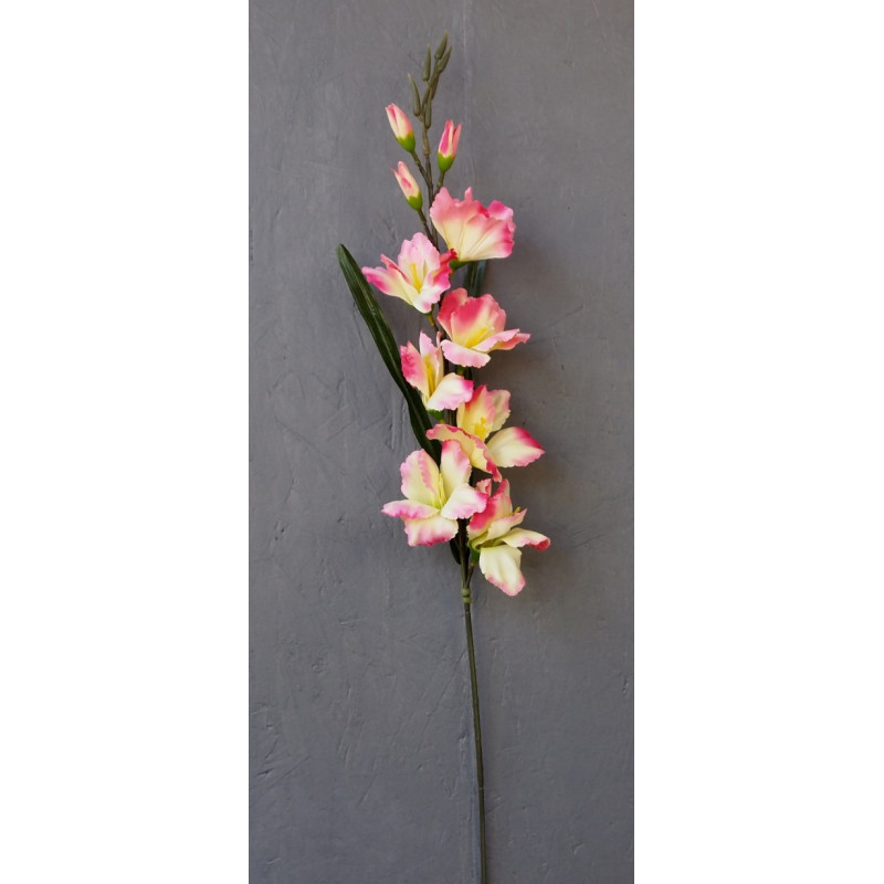 Tige glaïeul 7 fleurs et 3 boutons Tige glaïeul 7 fleurs et 3 boutons