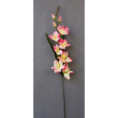 Tige glaïeul 7 fleurs et 3 boutons