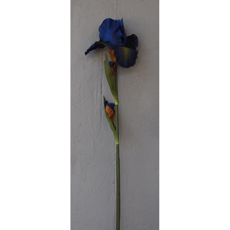 Gros iris Gros iris