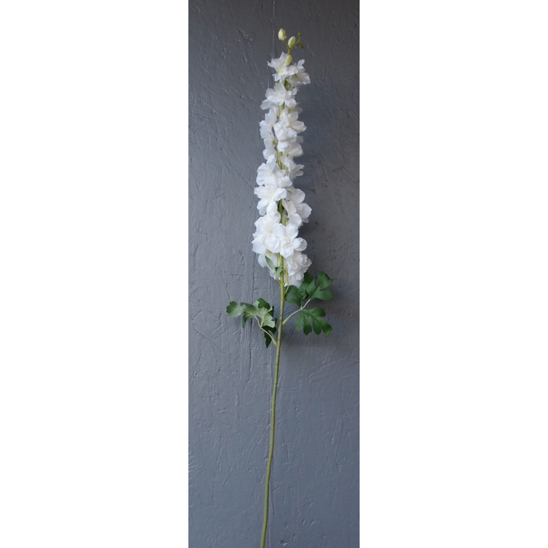 Grand delphinium Grand delphinium