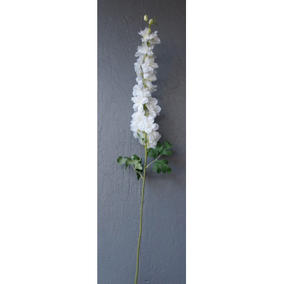 Grand delphinium