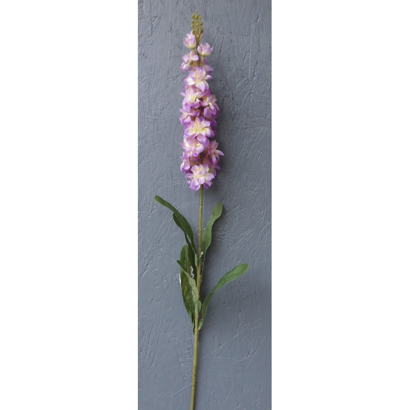 Delphinium Delphinium