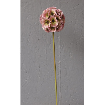 grosse fleur
