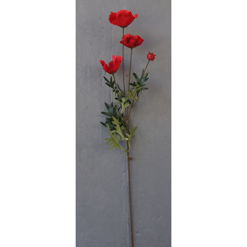 Coquelicot Coquelicot