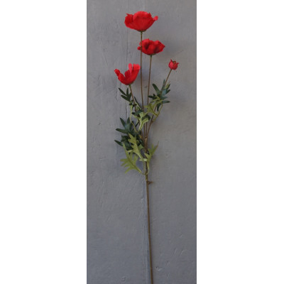 Coquelicot
