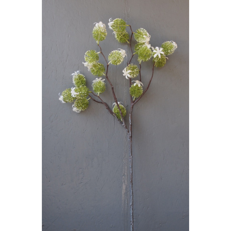 Branche fleurie Branche fleurie