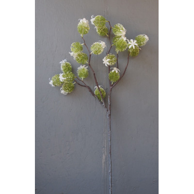 Branche fleurie