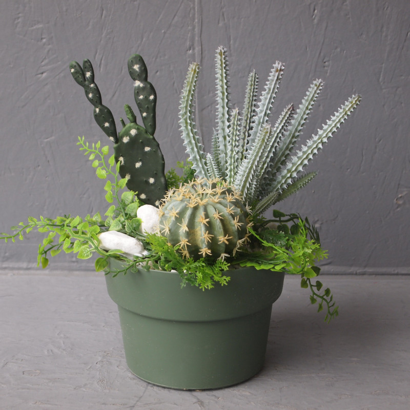 Pot cactus