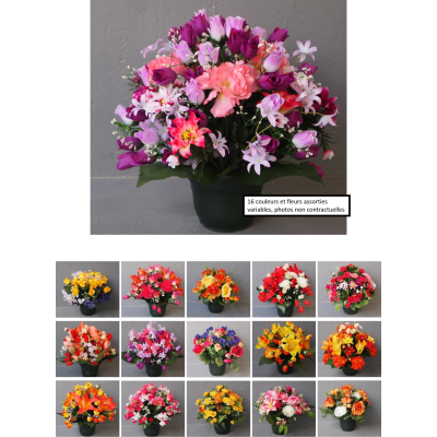 Coupes rondes, coloris aléatoire