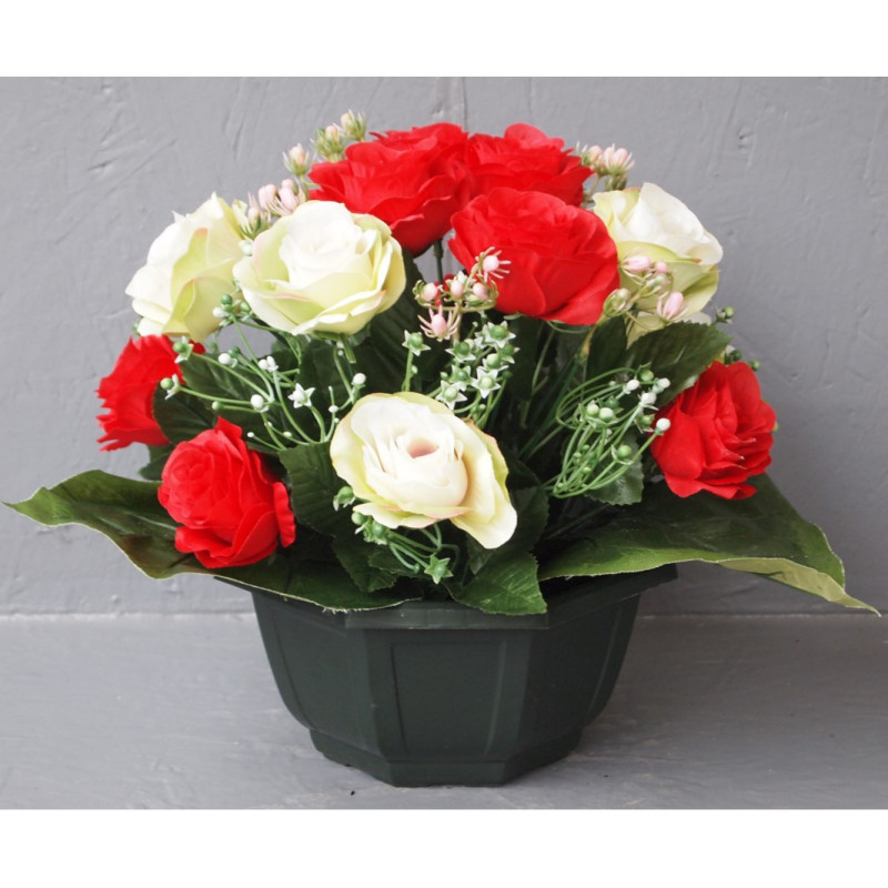 Coupe roses bicolores