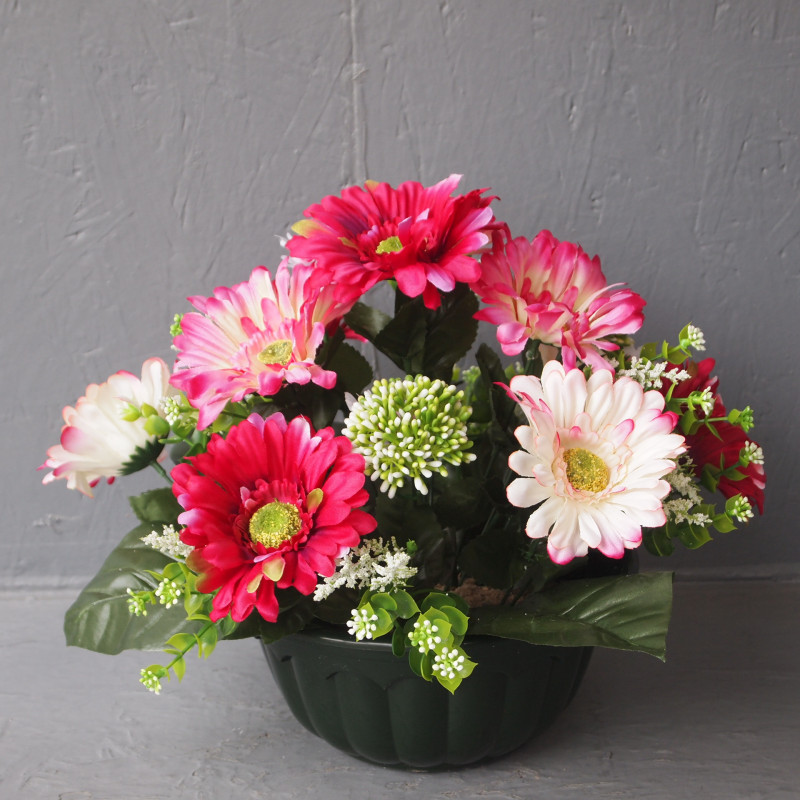 Coupe gerberas