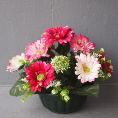 Coupe gerberas