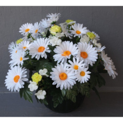 Coupe marguerites