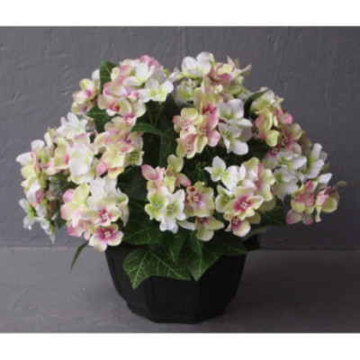 Coupe hortensia