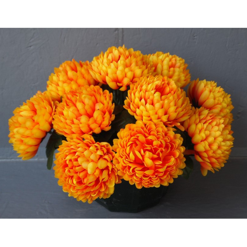 Coupe Chrysanthème grosses fleurs