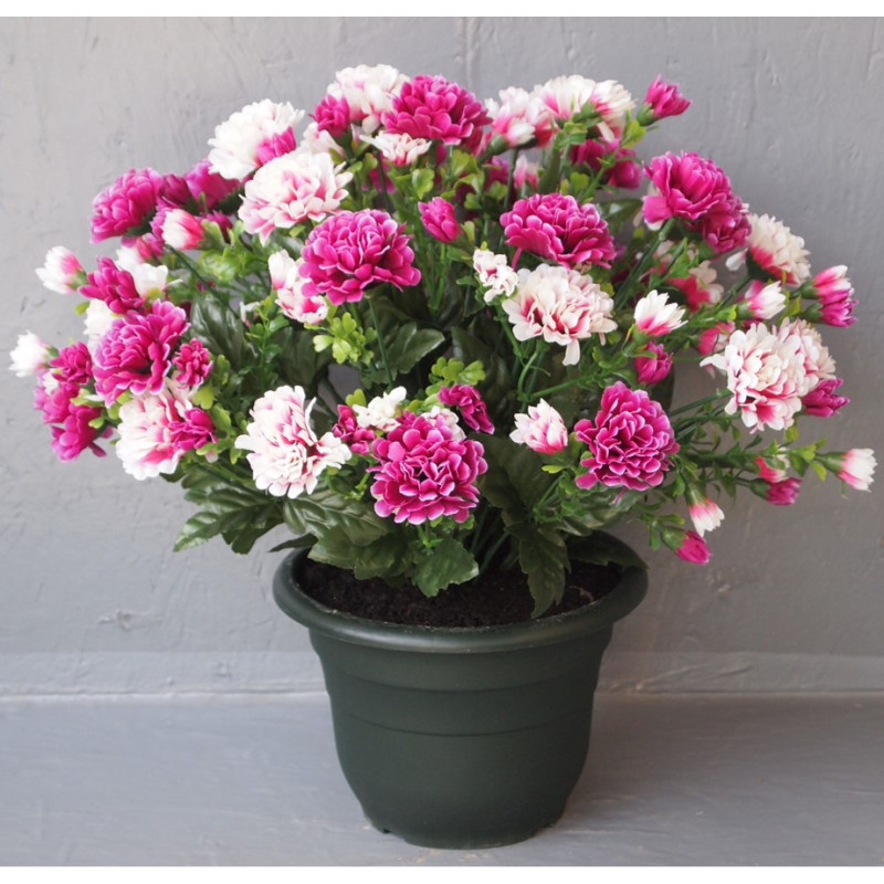 Coupe Chrysanthème petites fleurs