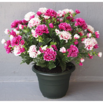 Coupe Chrysanthème petites fleurs