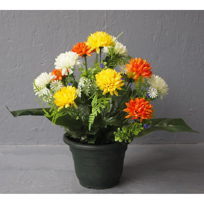 Mini coupe chrysanthèmes