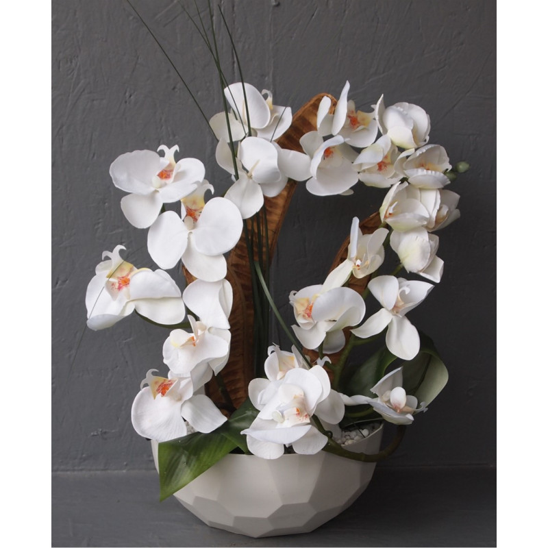 Coupe déco orchidées