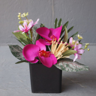 Compo cube orchidées