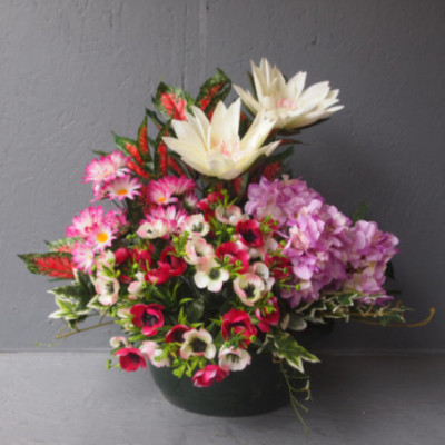 Grosse coupe plantes