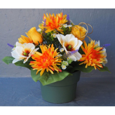 Compo coupe colorée chrysanthèmes-magnolias