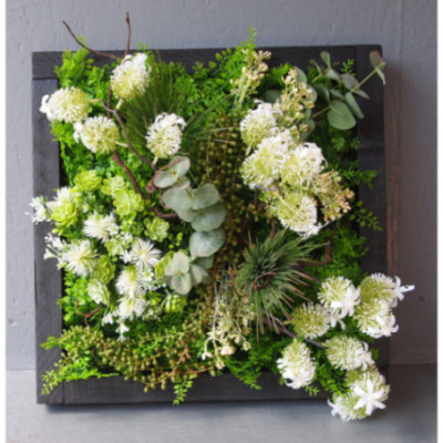 Tableau végétal 50x50