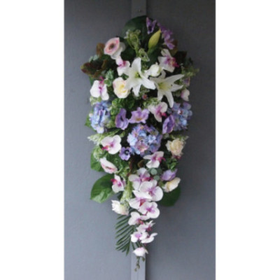 Dessus de cerceuil goutte d'eau stargazer