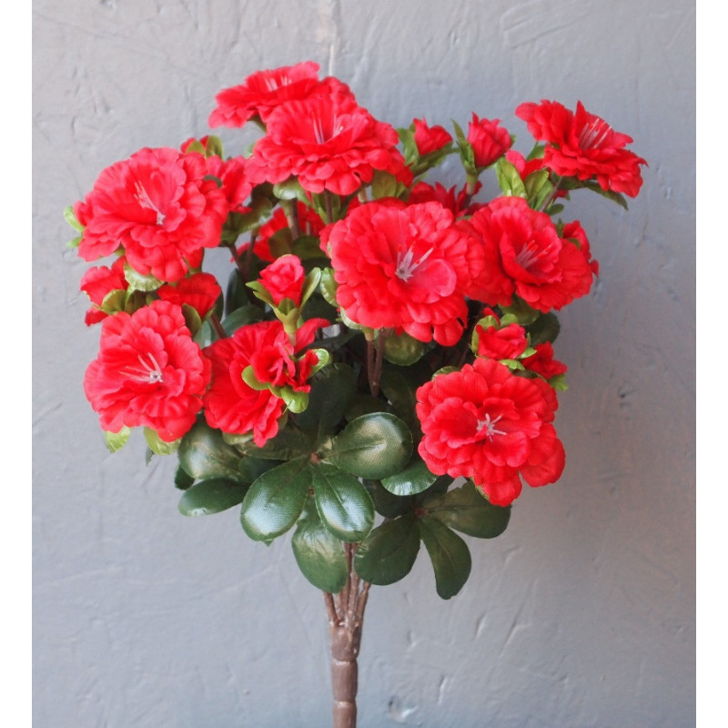 Azalée 5 tiges