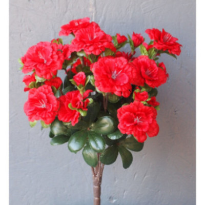 Azalée 5 tiges