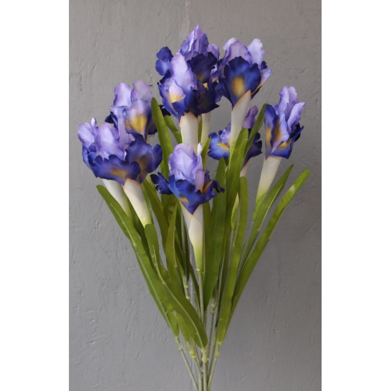 Bouquet de 10 iris