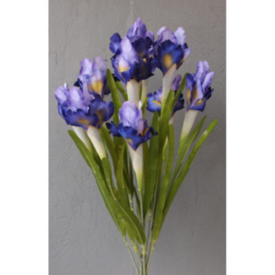 Bouquet de 10 iris