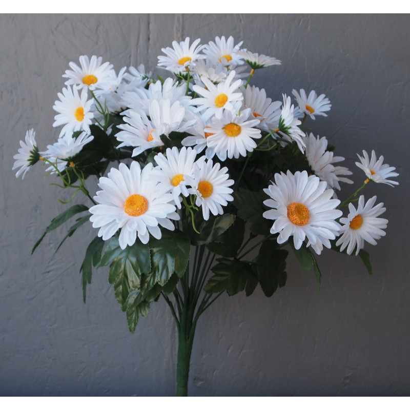 Bouquet 24 tiges marguerites