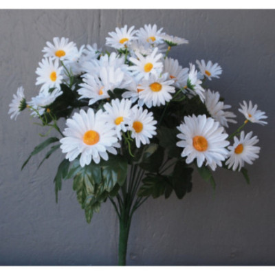 Bouquet 24 tiges marguerites