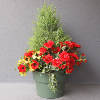 Pot plantes