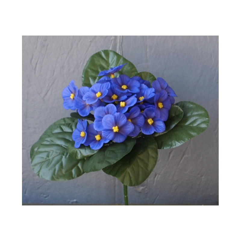 Petit bouquet saint paulia et corolle de feuilles