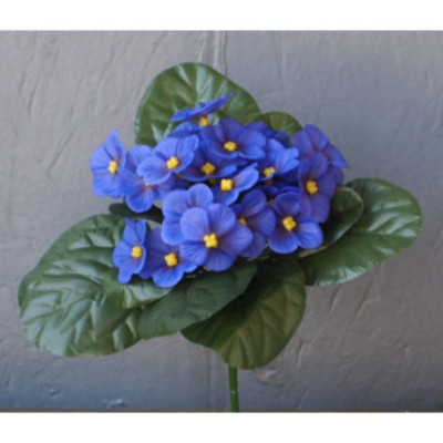 Petit bouquet saint paulia et corolle de feuilles