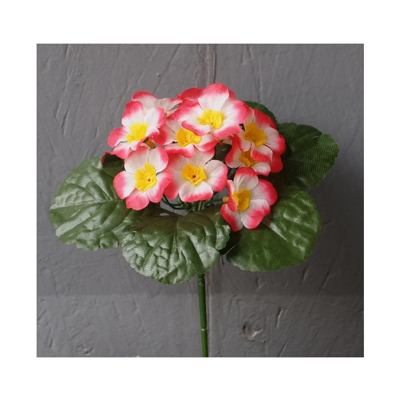 Petit bouquet primevéres et corolle de feuilles