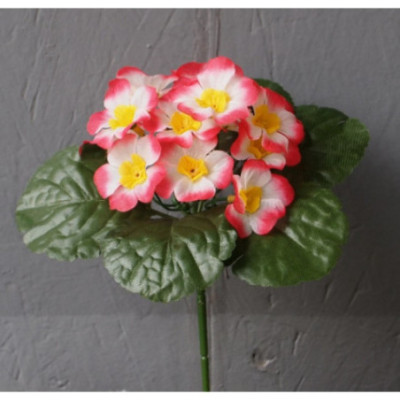 Petit bouquet primevéres et corolle de feuilles