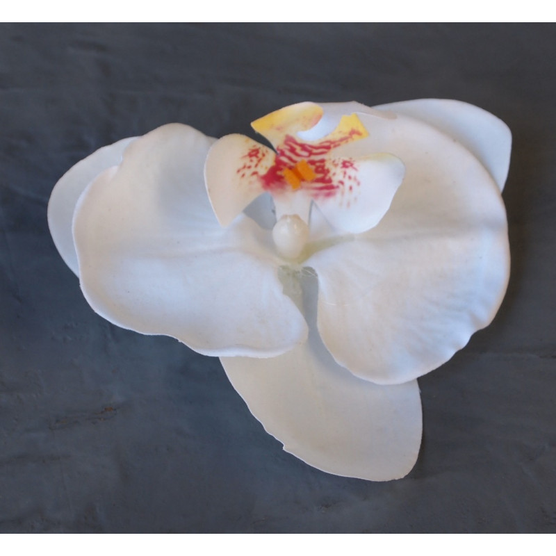 Fleuron phalaénopsis