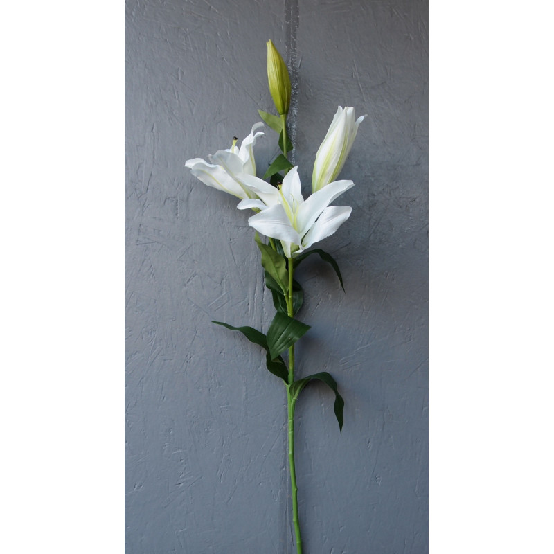 Lys stargazer 2 fleurs et 2 boutons